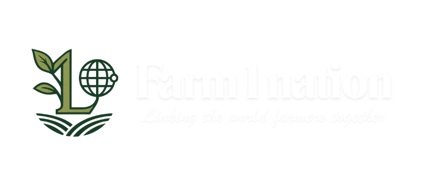 F1N Logo