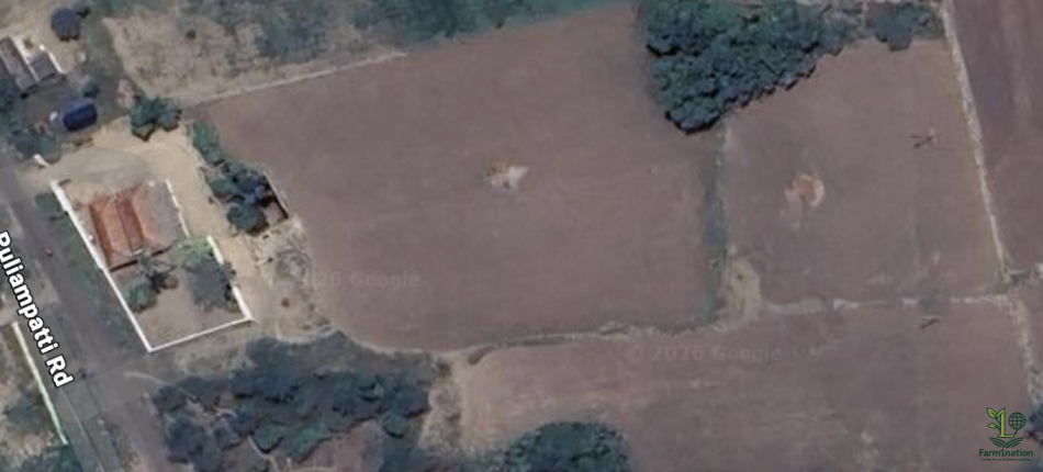 Agricultre  Land in Puliyampatti